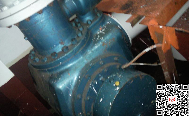 雙(shuāng)螺杆泵(bèng)