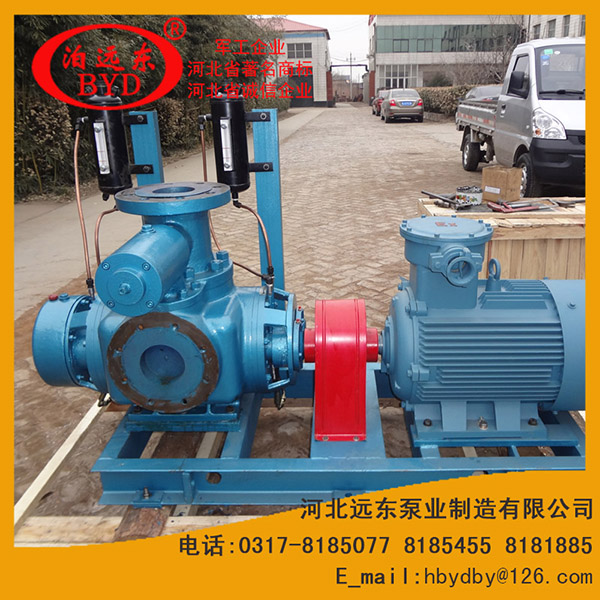 雙螺(luó)杆泵
