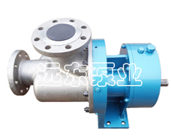 Wkse快速清洗雙(shuāng)螺杆泵